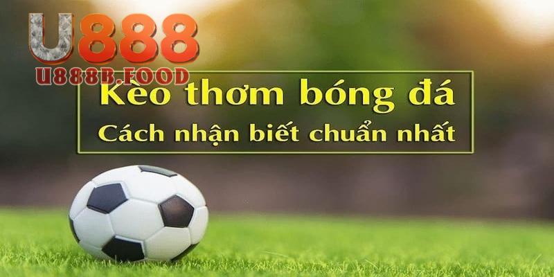 Dấu hiệu nhận biết bằng các giải đấu lớn