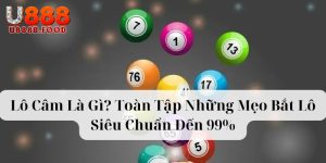 Từ A-Z về lô câm mà tân thủ cần nắm