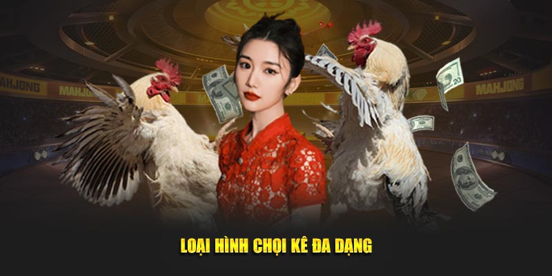 Loại hình chọi kê đa dạng