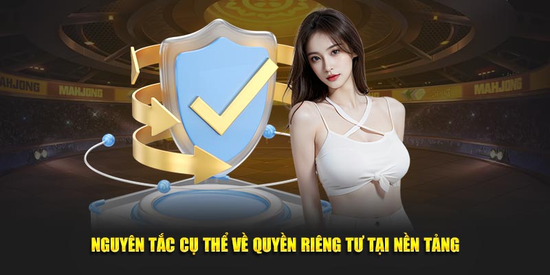 Nguyên tắc cụ thể về quyền riêng tư tại nền tảng