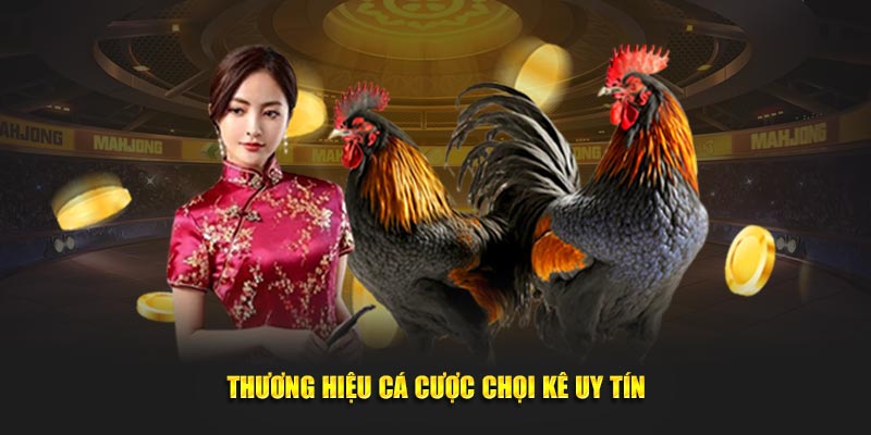 Thương hiệu cá cược chọi kê uy tín